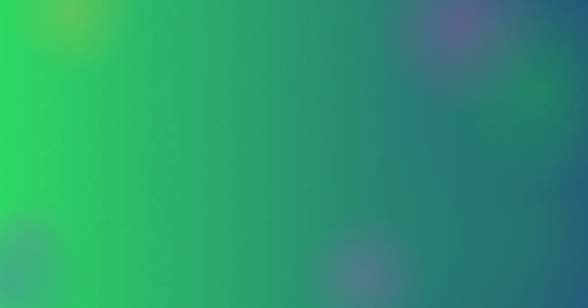 第一导航测评：避坑流程